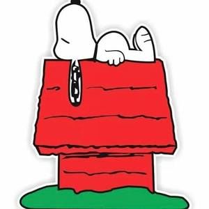 Meet your Posher, Adriana